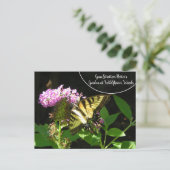 Gene Stratton Porter's Garden in Wilde Bossen Briefkaart (Staand voorkant)