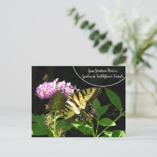 Gene Stratton Porter's Garden in Wilde Bossen Briefkaart (Staand voorkant)