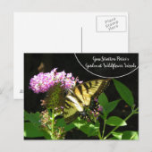 Gene Stratton Porter's Garden in Wilde Bossen Briefkaart (Voorkant / Achterkant)