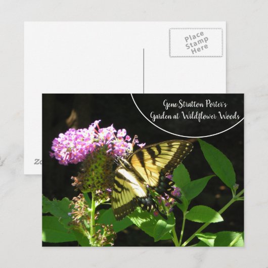 Gene Stratton Porter's Garden in Wilde Bossen Briefkaart (Voorkant / Achterkant)