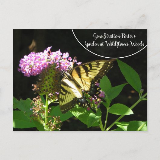 Gene Stratton Porter's Garden in Wilde Bossen Briefkaart (Voorkant)