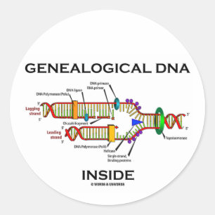Genealogisch DNA binnenin (DNA-replicatie) Ronde Sticker
