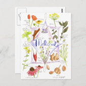 Geneeskrachtig kruid Echinacea Knoflookpapaver Briefkaart (Voorkant / Achterkant)