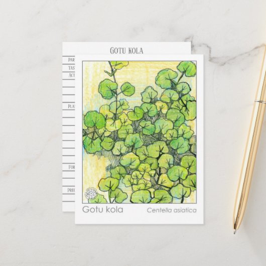 Geneeskrachtige kruiden Gotu Kola Plant Kruidenstu Briefkaart (Voorkant / Achterkant in situ)