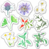 Geneeskrachtige Kruiden Rozenbottels Rozemarijn Ka Sticker (Voorkant)