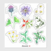 Geneeskrachtige Kruiden Rozenbottels Rozemarijn Ka Sticker (Vel)