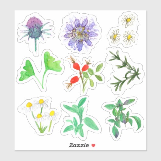 Geneeskrachtige Kruiden Rozenbottels Rozemarijn Ka Sticker (Vel)
