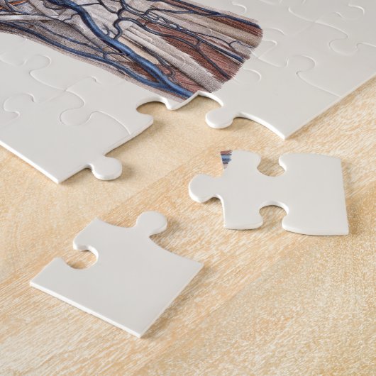  geneeskunde, menselijke anatomiehandschoenen legpuzzel (Zijkant)