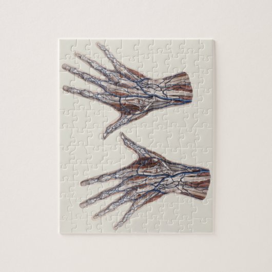  geneeskunde, menselijke anatomiehandschoenen legpuzzel (Verticaal)