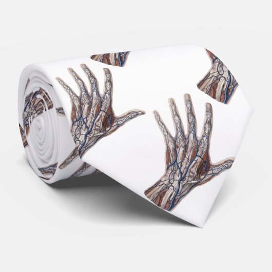  geneeskunde, menselijke anatomiehandschoenen stropdas (Opgerold)