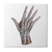  geneeskunde, menselijke anatomiehandschoenen tegeltje (Voorkant)