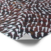 GENEESMIDDEL VAN HET CORAL REEF POSTER (Hoek)