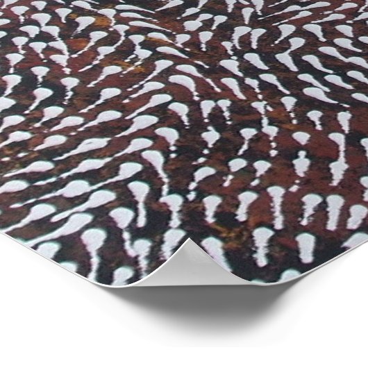 GENEESMIDDEL VAN HET CORAL REEF POSTER (Hoek)