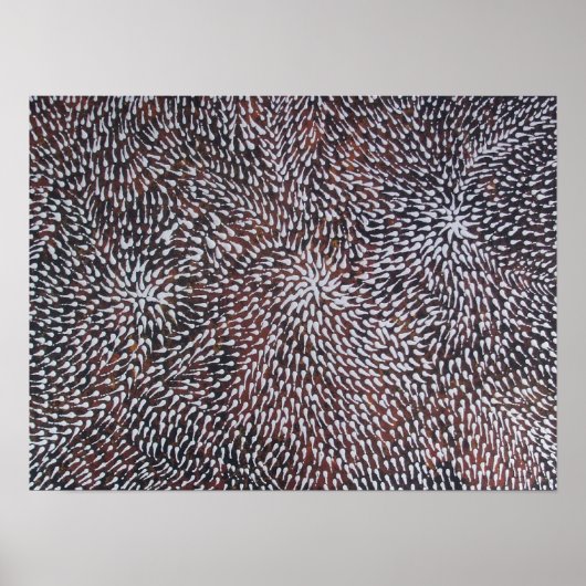 GENEESMIDDEL VAN HET CORAL REEF POSTER (Voorkant)