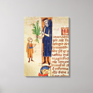 Geneesmiddelen Planten Canvas Afdruk