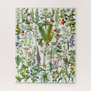 Geneesmiddelen Planten Jigzaag Puzzle Legpuzzel