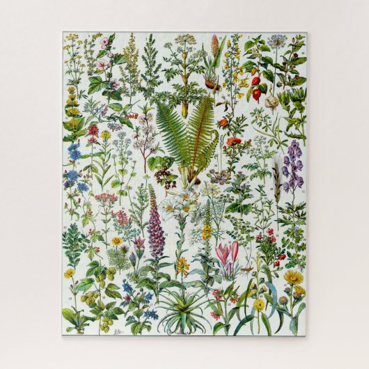 Geneesmiddelen Planten Jigzaag Puzzle Legpuzzel (Verticaal)