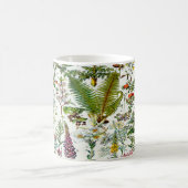 Geneesmiddelen Planten Koffiemok (Center)