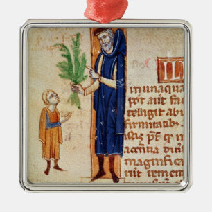 Geneesmiddelen Planten Metalen Ornament