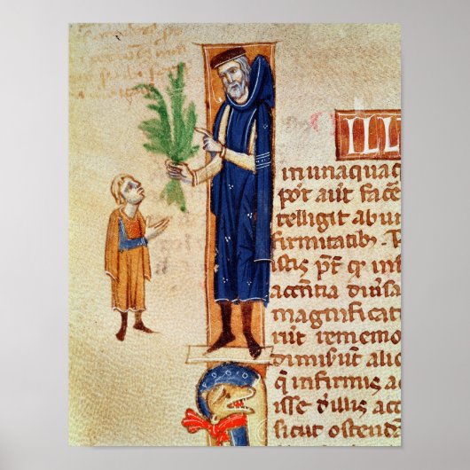 Geneesmiddelen Planten Poster (Voorkant)