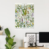 Geneesmiddelen Planten Poster (Thuiskantoor)