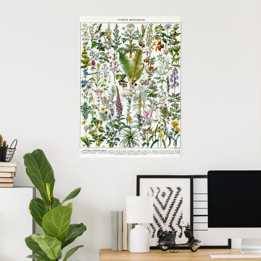 Geneesmiddelen Planten Poster (Thuiskantoor)