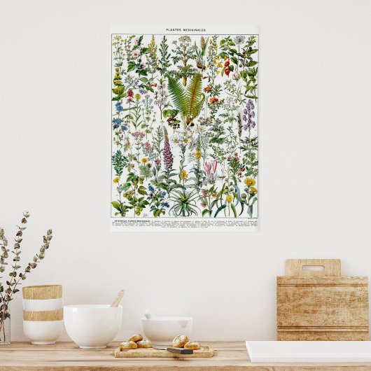 Geneesmiddelen Planten Poster (Keuken)