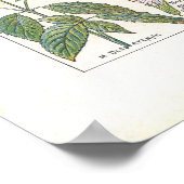 Geneesmiddelen Spijsverteringskanaal in het Frans Poster (Hoek)