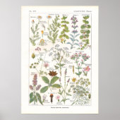 Geneesmiddelen Spijsverteringskanaal in het Frans Poster (Voorkant)