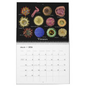 Geneesmiddelenkunst Kalender (Mar 2026)