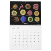 Geneesmiddelenkunst Kalender (Mar 2027)