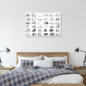 Genera of Shells Jigzaag, pub. door W. Edwards Canvas Afdruk (Insitu (Slaapkamer))