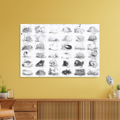 Genera of Shells Jigzaag, pub. door W. Edwards Canvas Afdruk (Insitu (Woonkamer))