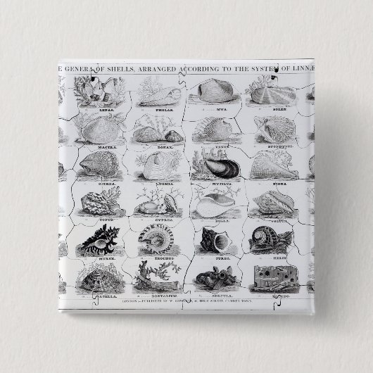Genera of Shells jigzaag, pub. door W. Edwards Vierkante Button 5,1 Cm (Voorkant)