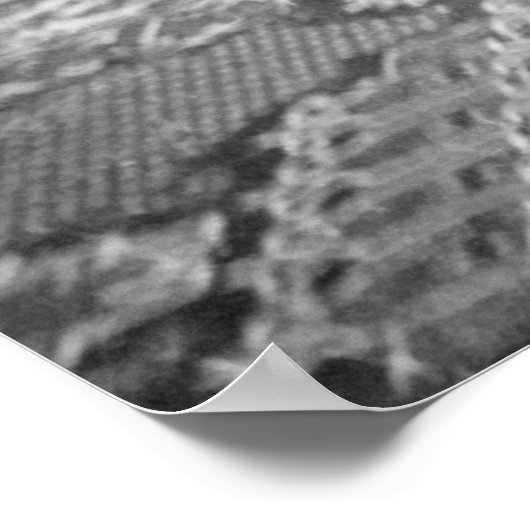 Generaal Custer en Zijne vrouw Libbie Poster (Hoek)