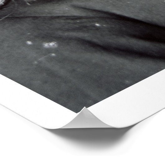 Generaal George Crook (foto van B/W) Poster (Hoek)