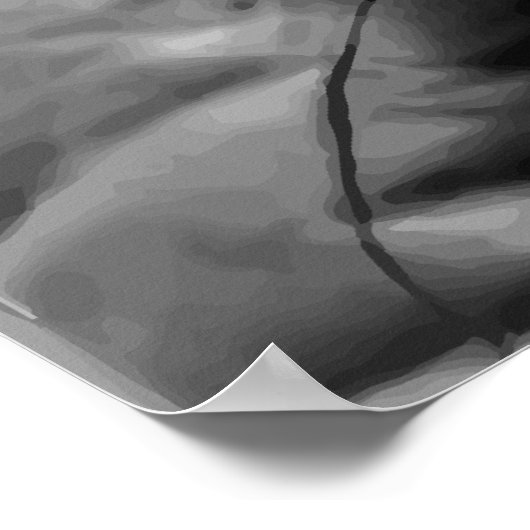 Generaal George S. Patton Jr. Poster (Hoek)