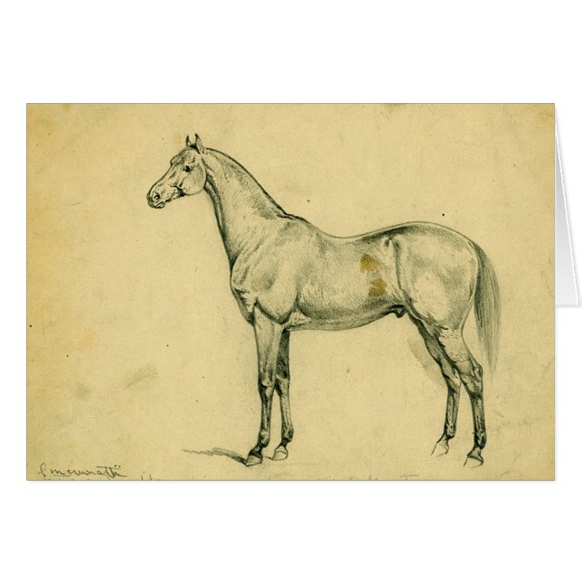 Generaal Grant's War Horse (Voorkant Horizontaal)