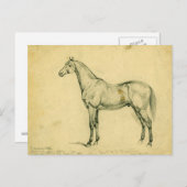 Generaal Grant's War Horse Briefkaart (Voorkant / Achterkant)