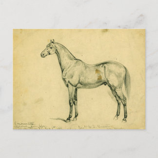 Generaal Grant's War Horse Briefkaart