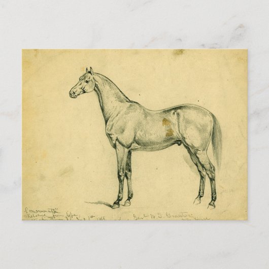 Generaal Grant's War Horse Briefkaart (Voorkant)