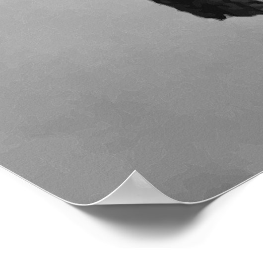 Generaal Joseph Wheeler Poster (Hoek)