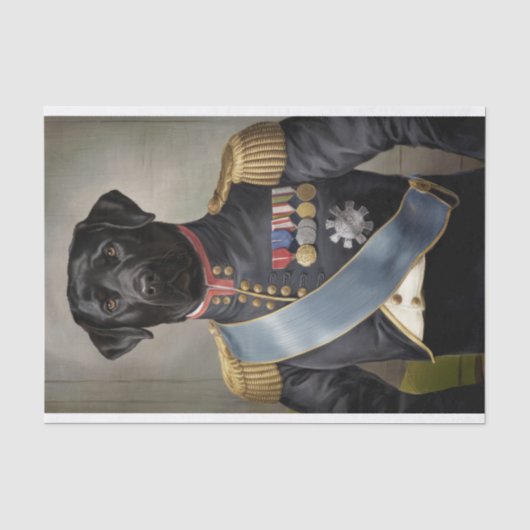 Generaal Murphy, Black Lab in militair uniform Tissuepapier (Voorkant)