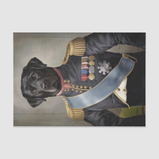 Generaal Murphy, Black Lab in militair uniform Tissuepapier (Voorkant)