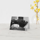 Generaal Patton's Bull Terrier "Willie" Kaart (Gele Bloem)