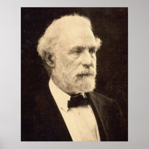 Generaal Robert E. Lee in 1869 door Michael Miley Poster
