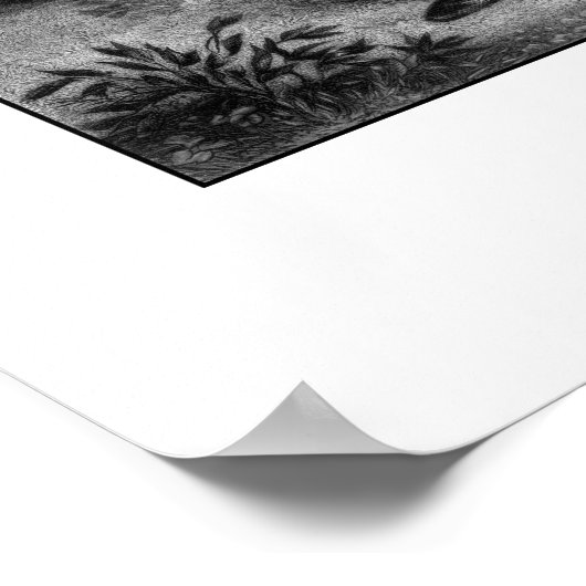 Generaal Robert E. Lee Poster (Hoek)