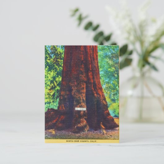 Generaal Sherman, 5000 jaar oud, Big Trees Park Briefkaart (Staand voorkant)