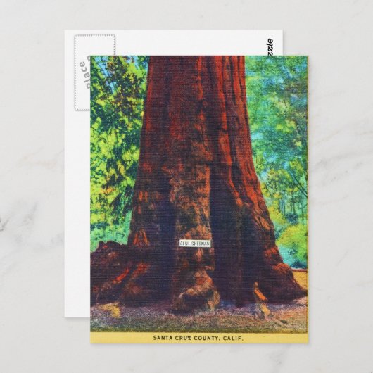 Generaal Sherman, 5000 jaar oud, Big Trees Park Briefkaart (Voorkant / Achterkant)