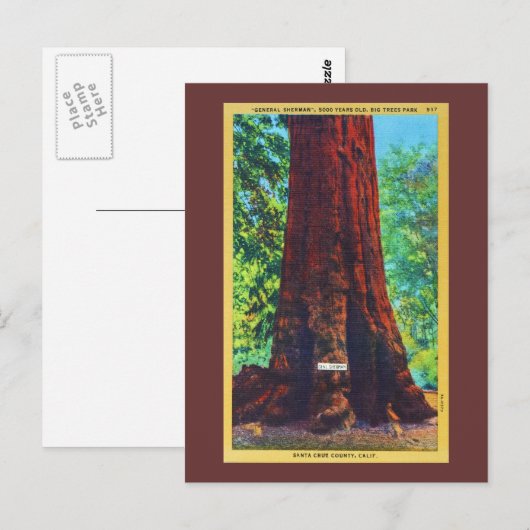 Generaal Sherman, 5000 jaar oud, Big Trees Park Briefkaart (Voorkant / Achterkant)